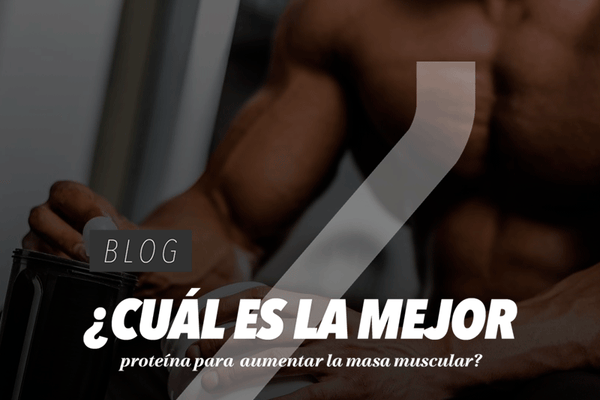 ¿Cuál es la mejor proteína para aumentar la masa muscular?