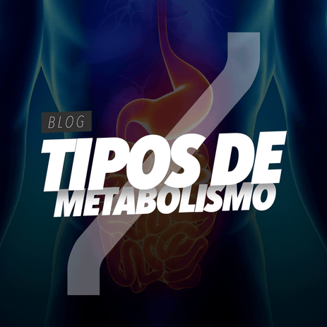 Tipos de metabolismo durante el ejercicio