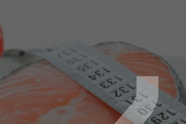 ¿Cómo elegir una dieta?