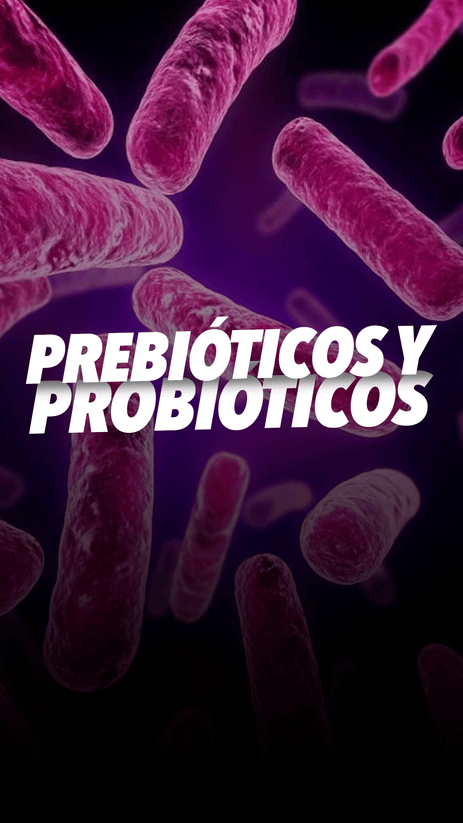 Beneficios de los Prebióticos y Probióticos: Cuidando tu Salud Intestinal