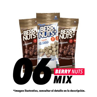 Berry Nuts Mix 25gr c/6 pz