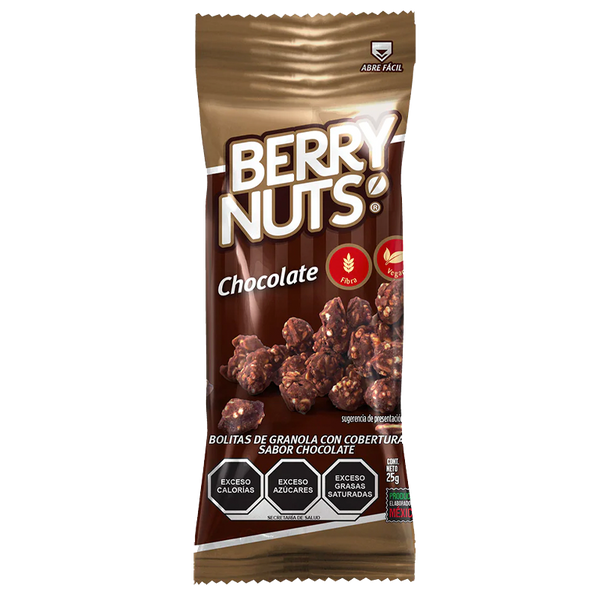 Berry Nuts Chocolate 25gr