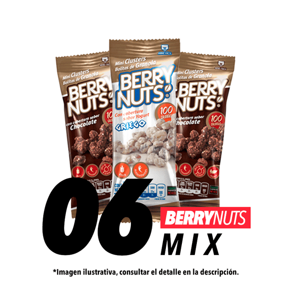 Berry Nuts Mix 25gr c/6 pz